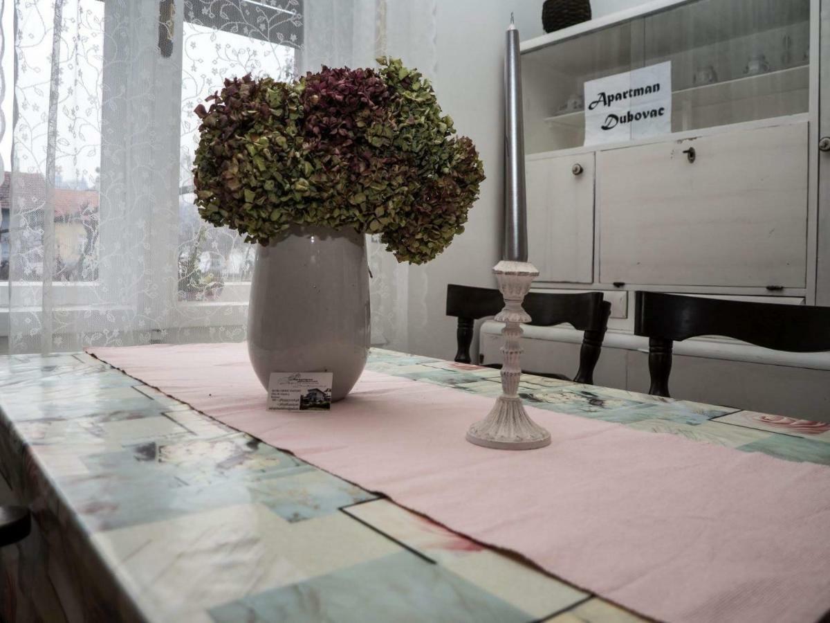 Apartment Dubovac 卡尔洛瓦茨 外观 照片